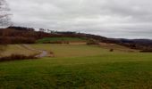 Randonnée Marche Durbuy - Sur les dessus de Bomal - Photo 4