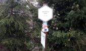 Trail Walking La Roche-en-Ardenne - Samree 131120 - Photo 9