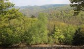 Randonnée A pied Schriesheim - Rundwanderweg Großer Stein 1: Talweg 