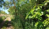 Randonnée Marche Vias - Camping Ste Cécile-La Tamarissière-Farinette - Photo 13