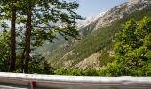 Percorso A piedi Kranjska Gora - stara vršiška cesta - Photo 1