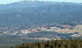 Tour Zu Fuß Graineter Wald - Rundwanderweg 5 (Haidel) - Photo 2