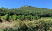 Tour Wandern La Roque-sur-Cèze - Cascades du Sautadet, maquis et village de Roque-sur-Cèze  - Photo 11