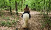 Trail Horseback riding Falck - Falck - Forêt de la Houve - Photo 10