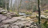 Trail Walking Menétrux-en-Joux - cascades des herissons - Photo 7