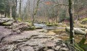 Tocht Stappen Menétrux-en-Joux - cascades des herissons - Photo 7