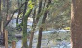 Randonnée Marche Nans-les-Pins - 