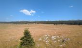 Tour Wandern Saint-Agnan-en-Vercors - Rocher de la Peyrouse - Photo 1