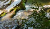 Tour Wandern Mont Lozère et Goulet - Château de Tournel - Photo 8