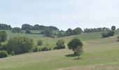 Tour Wandern Thimister-Clermont - 20200526 - Les Margarins 7.5 Km - Photo 8