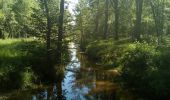 Tocht Stappen Poigny-la-Forêt - Poigny la forêt - Photo 7