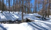 Randonnée Raquettes à neige Entraunes - la boucharde - Photo 5