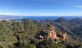 Tour Wandern Saint-Raphaël - Les suvières via le pic de l'ours depuis ND - Photo 7