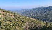 Trail Walking Sainte-Maxime - Vers Peigros - Photo 9