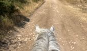 Trail Horseback riding Revest-du-Bion - Provence 2025 J5 - Photo 9