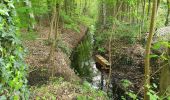 Percorso A piedi Sittensen - Nordpfad 'Börde Sittensen' - Photo 6