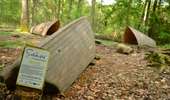 Trail Walking Ohey - Sentiers d'Art : Boucle 13 - Jallet - Photo 1