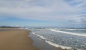 Tour Wandern Leucate - la franqui - phare du cap de leucate / retour par la falaise et la plage  - Photo 3