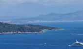 Tour Wandern Ramatuelle - bonne terrasse Camarat - Photo 1