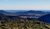 Trail Walking Le Revest-les-Eaux - Boucle Ripelle - Mont Combes - Tourris - Ripelle - Photo 6