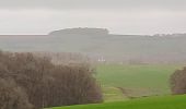 Randonnée Marche Meix-devant-Virton - Gite-de-gaume : Entre France et Belgique  - Photo 7