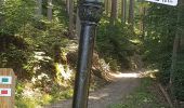 Trail Walking Stoumont - GrWandArdRiv 17 Lorcé het klein grut van de Amblève (PVDB) - Photo 3