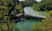 Tocht Stappen Lac de la Haute-Sûre - Bavigne - Photo 6