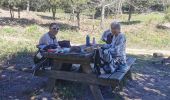 Randonnée Marche Gonfaron - Plateau du Treps - Photo 16