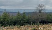 Trail Walking Trois-Ponts - wanne 280122 - Photo 7