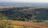 Tour Wandern Givry - Boucle de Givry à Russilly - Photo 7