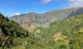 Randonnée Marche Serra de Água - Pico Grande - Photo 7