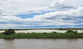 Tour Wandern Vic-la-Gardiole - Circuit des salines  - Photo 6