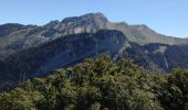 Trail Walking Faverges-Seythenex - POINTE DU VELAN - Photo 1