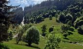 Trail Walking Goldbach-Altenbach - goldbach - Photo 2