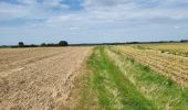 Tour Wandern Fernelmont - Noville les Bois 220823 - Photo 5