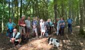 Trail Walking Rochefort - Han-sÃ»r-Lesse - Photo 14