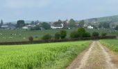 Trail Walking Libramont-Chevigny - Bras-Freux - Photo 9