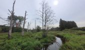 Tour Wandern Sainte-Ode - rando beauplateau 24-08-2023 - Photo 8