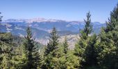 Tour Wandern La Clusaz - le Crêt du loup la clusaz - Photo 2