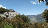 Tour Wandern Campile - Boucle de Monte Castellare - Photo 2