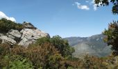 Randonnée Marche Campile - Boucle de Monte Castellare - Photo 2