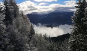 Excursión Marcha nórdica Ayent - Anzère et retour  - Photo 1