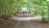 Randonnée Marche Ventes-Saint-Rémy - Forêt d'Eawy rando douce - Photo 13