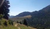 Tour Wandern Bellecombe-en-Bauges - montagne du charbon : montée par la piste Reposoir. col de bornette . refuge de la combe / retour même itinéraire sauf par les champs et bois depuis bornette  - Photo 4