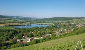 Trail Walking Barzy-sur-Marne - GR15 Vallée de la Marne de Marcilly à Mont-st-Père - Photo 1