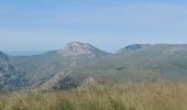 Trail Walking Auzet - AUZET. COL DE LA PINEE . LE MARZENC . N . O L - Photo 6