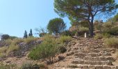 Trail Walking Leucate - mon sentier des pêcheurs via chateau - Photo 19