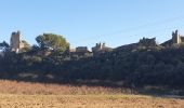 Tocht Stappen Beaumes-de-Venise - Beaume de Venise  - Photo 4