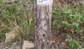 Trail Walking Grimaud - Grimaud - Sentier de la calade - Photo 17