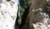 Trail Walking La Palud-sur-Verdon - Verdon Sentier Blanc Martel - Photo 5